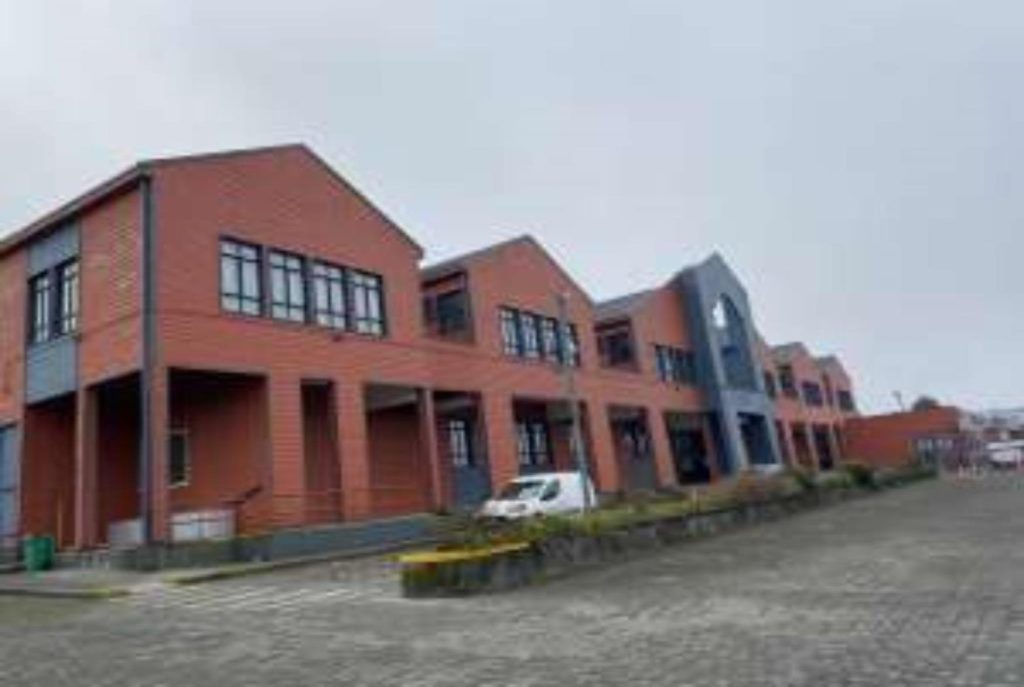 IMG_1595-1-300x225 (Copy) (Copy) (Copy)